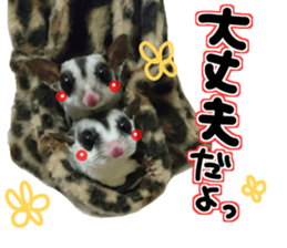 Everyone gathers up! sticker #15509391