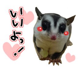 Everyone gathers up! sticker #15509393