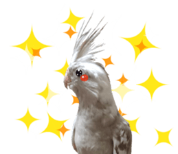 Everyone gathers up! sticker #15509395