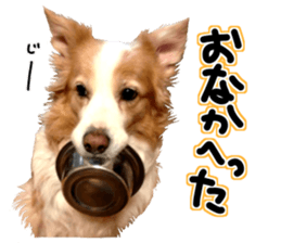 Everyone gathers up! sticker #15509396