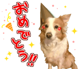 Everyone gathers up! sticker #15509397