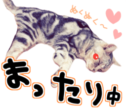 Everyone gathers up! sticker #15509399