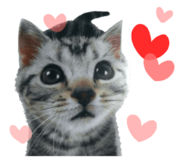 Everyone gathers up! sticker #15509400