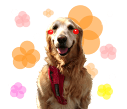 Everyone gathers up! sticker #15509401