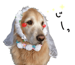 Everyone gathers up! sticker #15509402