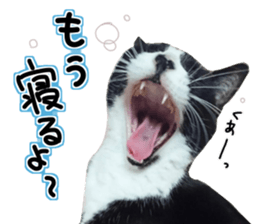 Everyone gathers up! sticker #15509403