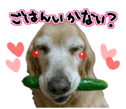 Everyone gathers up! sticker #15509404