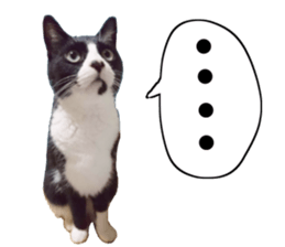 Everyone gathers up! sticker #15509405