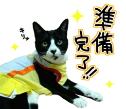 Everyone gathers up! sticker #15509406