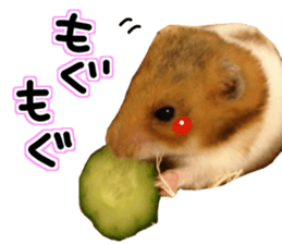 Everyone gathers up! sticker #15509407