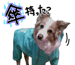 Everyone gathers up! sticker #15509408