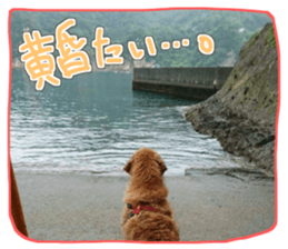 Everyone gathers up! sticker #15509409