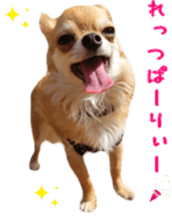 Sticker of Cereza 12 sticker #15510180