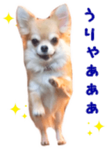 Sticker of Cereza 12 sticker #15510182