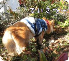 Sticker of Cereza 12 sticker #15510183