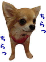 Sticker of Cereza 12 sticker #15510186