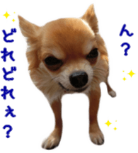 Sticker of Cereza 12 sticker #15510188