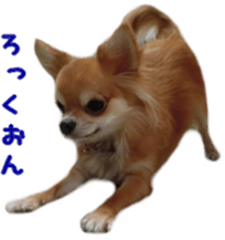 Sticker of Cereza 12 sticker #15510189