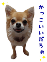 Sticker of Cereza 12 sticker #15510191