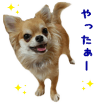 Sticker of Cereza 12 sticker #15510192