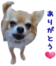 Sticker of Cereza 12 sticker #15510194