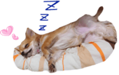 Sticker of Cereza 12 sticker #15510195