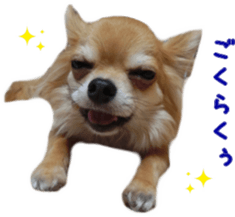 Sticker of Cereza 12 sticker #15510196