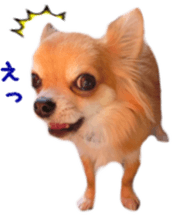 Sticker of Cereza 12 sticker #15510197