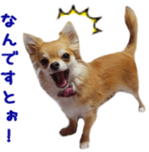 Sticker of Cereza 12 sticker #15510198