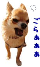 Sticker of Cereza 12 sticker #15510199