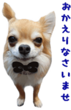 Sticker of Cereza 12 sticker #15510204