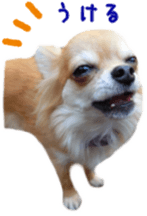 Sticker of Cereza 12 sticker #15510205