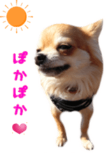 Sticker of Cereza 12 sticker #15510206