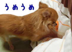 Sticker of Cereza 12 sticker #15510207