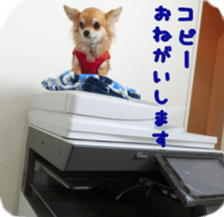 Sticker of Cereza 12 sticker #15510209