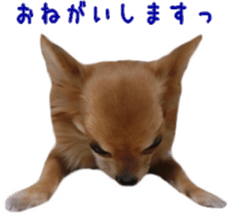 Sticker of Cereza 12 sticker #15510210