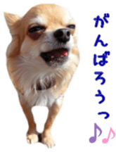 Sticker of Cereza 12 sticker #15510213