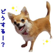 Sticker of Cereza 12 sticker #15510215