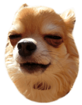 Sticker of Cereza 12 sticker #15510217