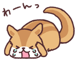 little chipmunk sticker #15510289