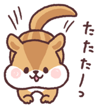 little chipmunk sticker #15510295