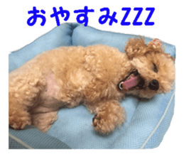 happy dog dog sticker #15511139