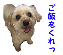happy dog dog sticker #15511141