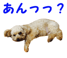 happy dog dog sticker #15511142