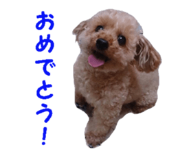 happy dog dog sticker #15511143