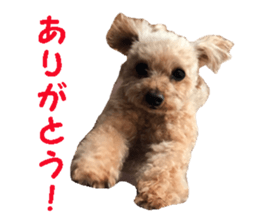 happy dog dog sticker #15511144