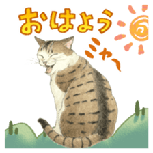 Cat town-Neargo sticker #15511924