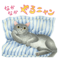 Cat town-Neargo sticker #15511927