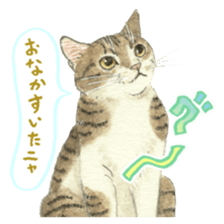 Cat town-Neargo sticker #15511930