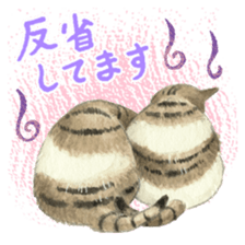 Cat town-Neargo sticker #15511938